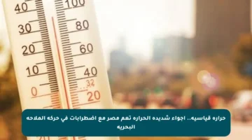 حرارة قياسية.. أجواء شديدة الحرارة تعم مصر مع اضطرابات في حركة الملاحة البحرية